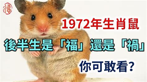 1972年 生肖